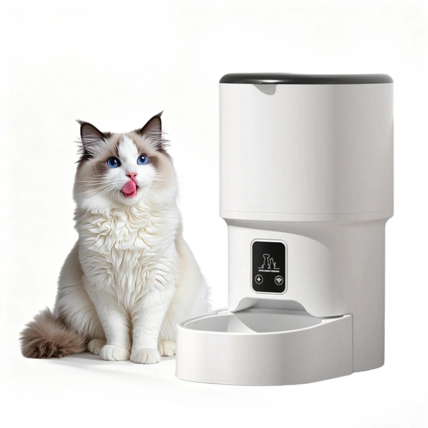 Programmable 4L Automatic Pet Feeder for Small Dogs Cats, up to 6 Meals Daily, Timer/Portion Control, Pet Feeding Food Dispenser