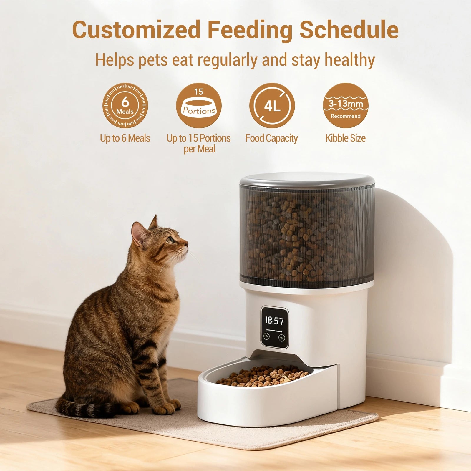 Programmable 4L Automatic Pet Feeder for Small Dogs Cats, up to 6 Meals Daily, Timer/Portion Control, Pet Feeding Food Dispenser
