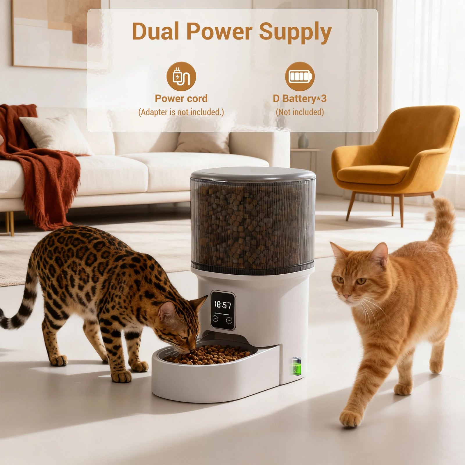 Programmable 4L Automatic Pet Feeder for Small Dogs Cats, up to 6 Meals Daily, Timer/Portion Control, Pet Feeding Food Dispenser