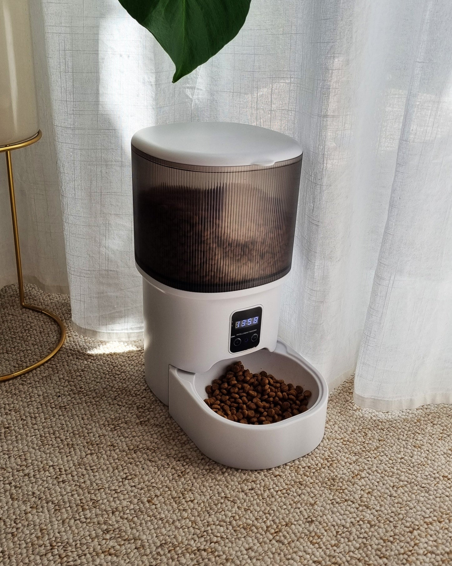 Distributeur automatique de croquettes
