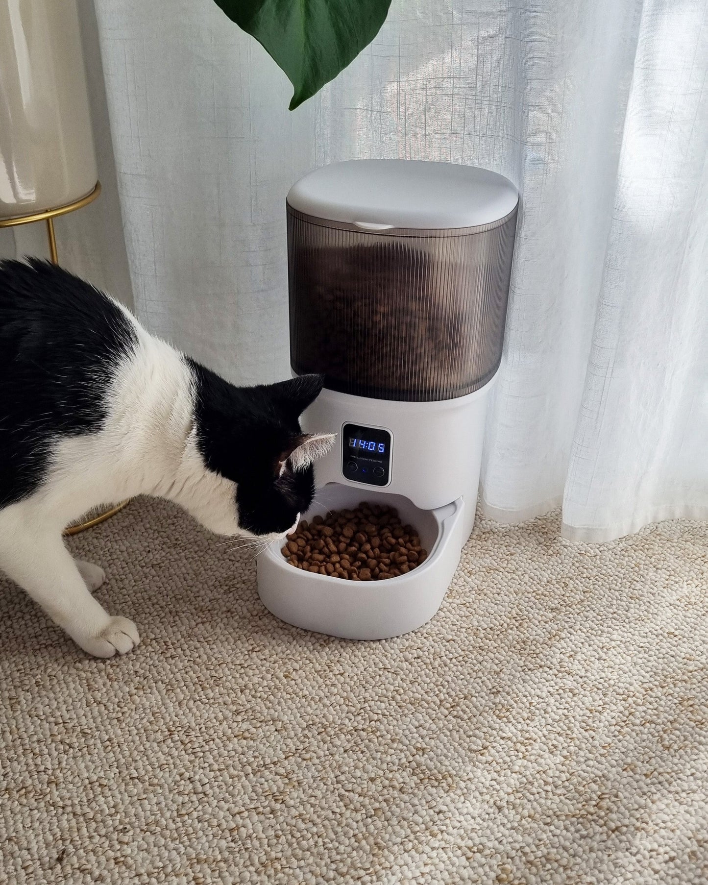Distributeur automatique de croquettes